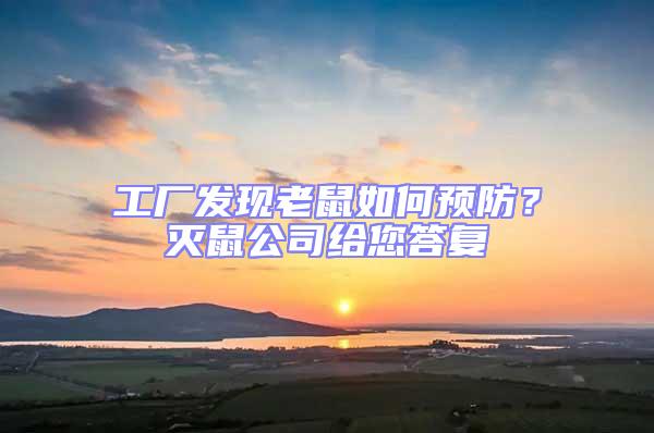 工廠發(fā)現(xiàn)老鼠如何預(yù)防？滅鼠公司給您答復(fù)