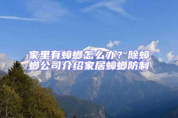 家里有蟑螂怎么辦？除蟑螂公司介紹家居蟑螂防制