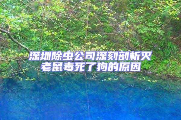 深圳除蟲(chóng)公司深刻剖析滅老鼠毒死了狗的原因