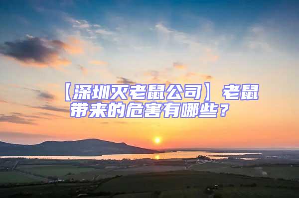 【深圳滅老鼠公司】老鼠帶來的危害有哪些？