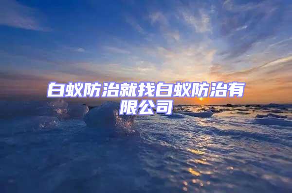 白蟻防治就找白蟻防治有限公司