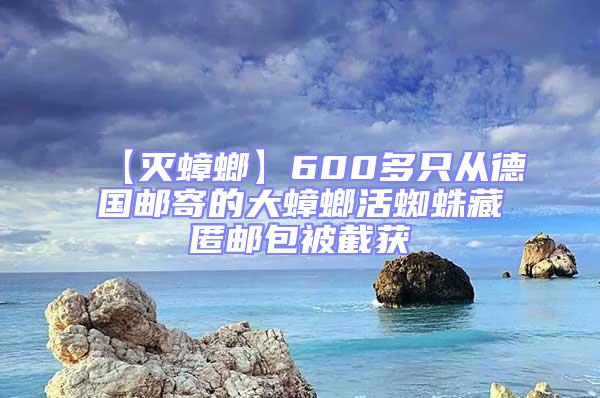 【滅蟑螂】600多只從德國郵寄的大蟑螂活蜘蛛藏匿郵包被截獲