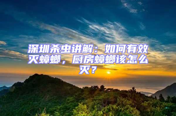 深圳殺蟲講解：如何有效滅蟑螂，廚房蟑螂該怎么滅？