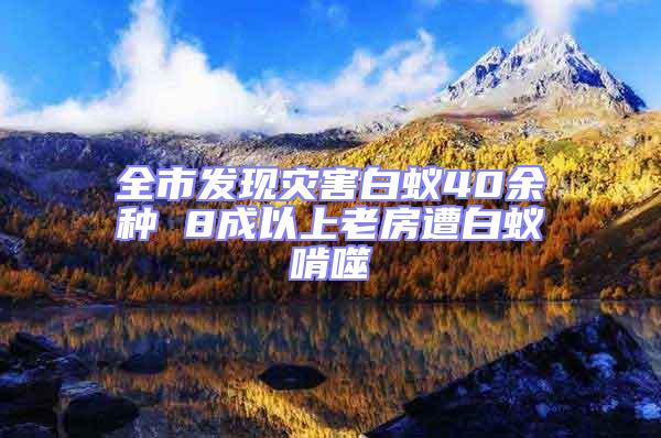 全市發(fā)現(xiàn)災(zāi)害白蟻40余種 8成以上老房遭白蟻啃噬