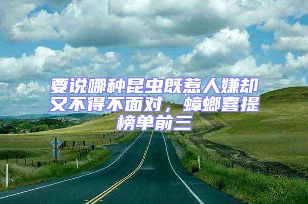 要說哪種昆蟲既惹人嫌卻又不得不面對，蟑螂喜提榜單前三