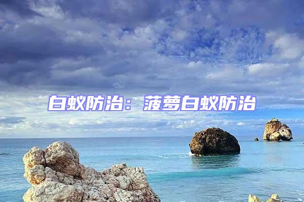 白蟻防治：菠蘿白蟻防治