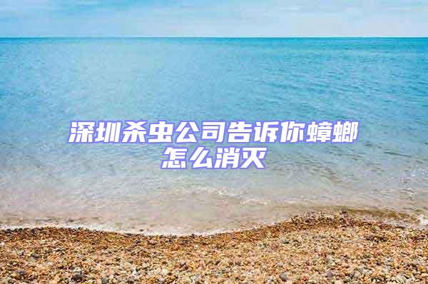 深圳殺蟲公司告訴你蟑螂怎么消滅