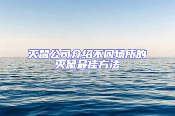 滅鼠公司介紹不同場所的滅鼠最佳方法