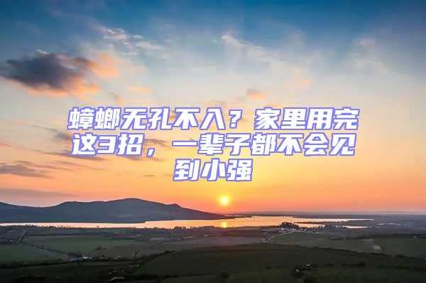 蟑螂無孔不入？家里用完這3招，一輩子都不會見到小強