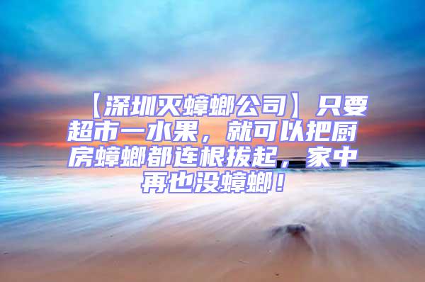 【深圳滅蟑螂公司】只要超市一水果，就可以把廚房蟑螂都連根拔起，家中再也沒蟑螂！