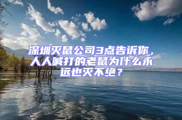 深圳滅鼠公司3點(diǎn)告訴你，人人喊打的老鼠為什么永遠(yuǎn)也滅不絕？