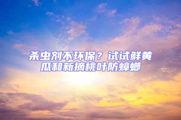 殺蟲劑不環(huán)保？試試鮮黃瓜和新摘桃葉防蟑螂