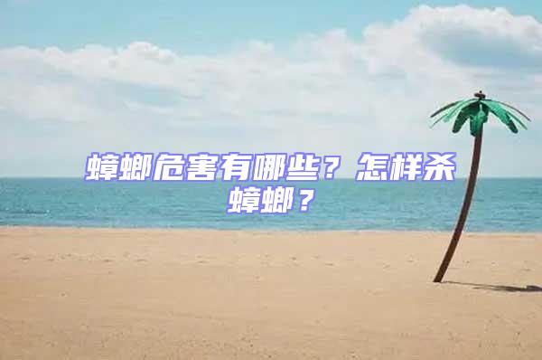 蟑螂危害有哪些？怎樣殺蟑螂？