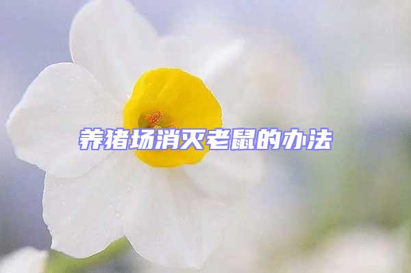 養(yǎng)豬場(chǎng)消滅老鼠的辦法