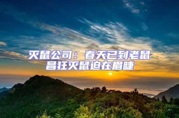 滅鼠公司：春天已到老鼠昌狂滅鼠迫在眉睫