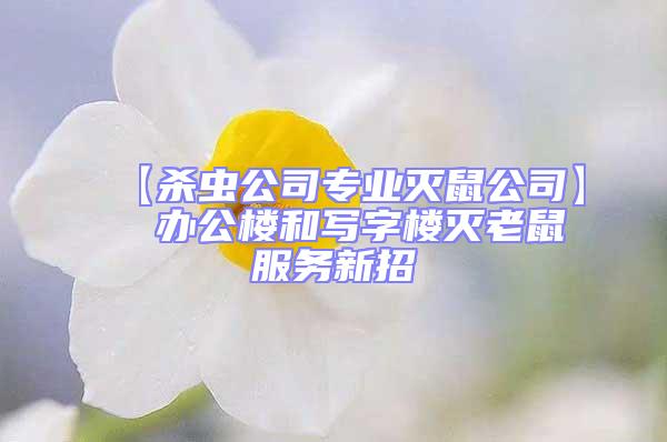 【殺蟲公司專業(yè)滅鼠公司】  辦公樓和寫字樓滅老鼠服務(wù)新招