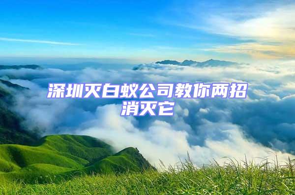 深圳滅白蟻公司教你兩招消滅它