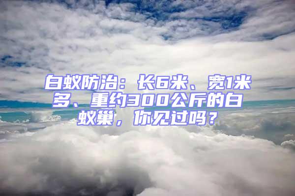 白蟻防治：長6米、寬1米多、重約300公斤的白蟻巢，你見過嗎？