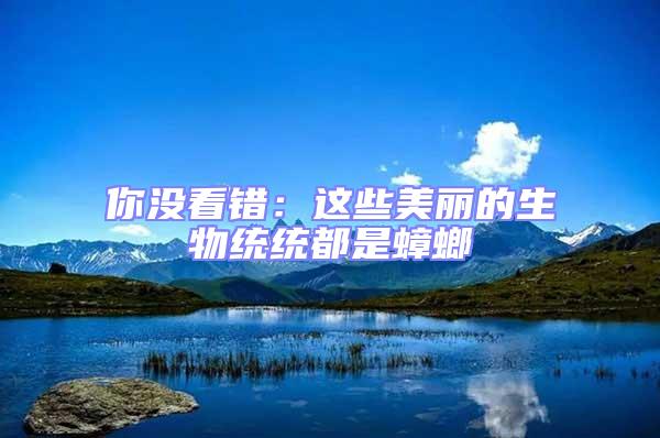 你沒看錯：這些美麗的生物統(tǒng)統(tǒng)都是蟑螂