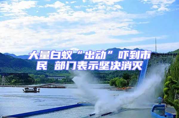 大量白蟻“出動”嚇到市民 部門表示堅決消滅