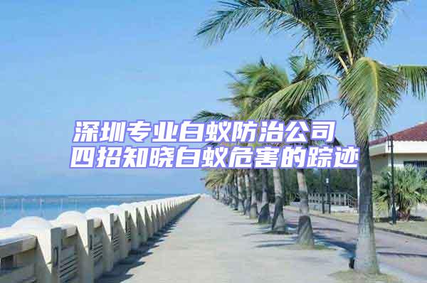 深圳專業(yè)白蟻防治公司 四招知曉白蟻危害的蹤跡