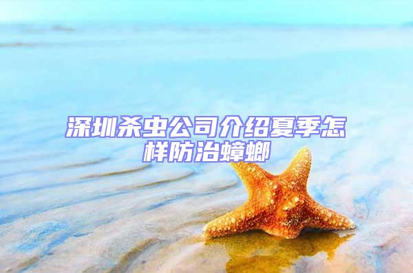 深圳殺蟲公司介紹夏季怎樣防治蟑螂