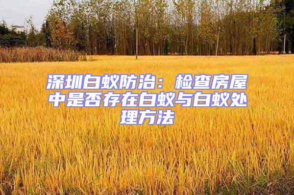 深圳白蟻防治：檢查房屋中是否存在白蟻與白蟻處理方法