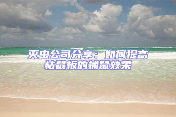 滅蟲公司分享：如何提高粘鼠板的捕鼠效果