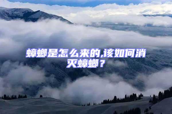 蟑螂是怎么來的,該如何消滅蟑螂？