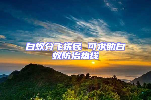 白蟻分飛擾民 可求助白蟻防治熱線