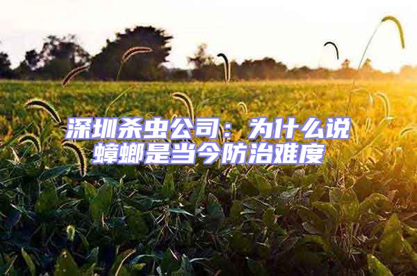 深圳殺蟲公司：為什么說蟑螂是當(dāng)今防治難度