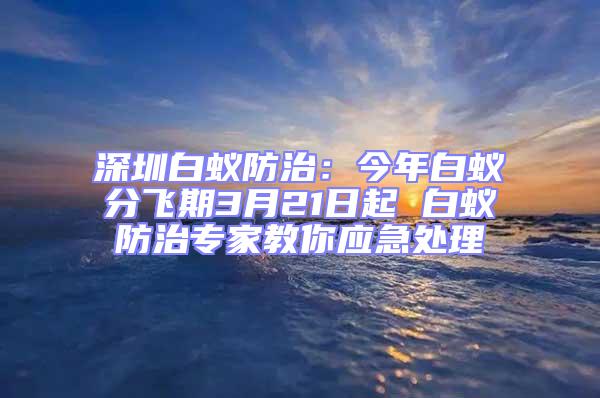 深圳白蟻防治：今年白蟻分飛期3月21日起 白蟻防治專家教你應(yīng)急處理