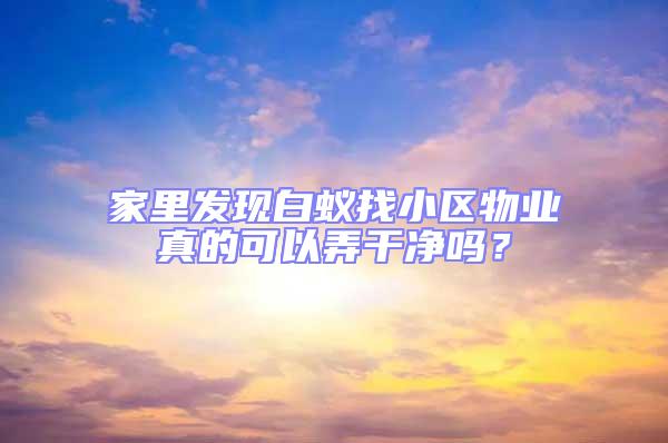 家里發(fā)現(xiàn)白蟻找小區(qū)物業(yè)真的可以弄干凈嗎？