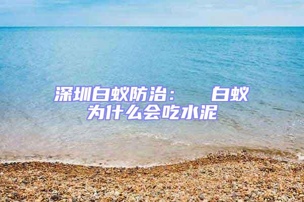 深圳白蟻防治：  白蟻為什么會(huì)吃水泥