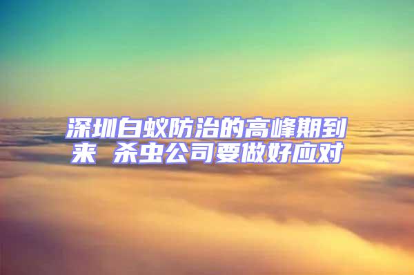 深圳白蟻防治的高峰期到來 殺蟲公司要做好應(yīng)對