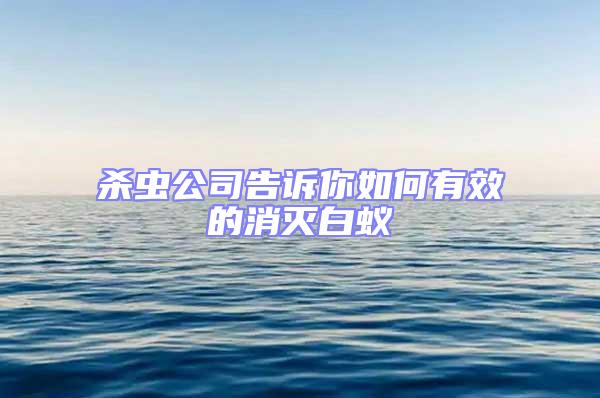 殺蟲公司告訴你如何有效的消滅白蟻