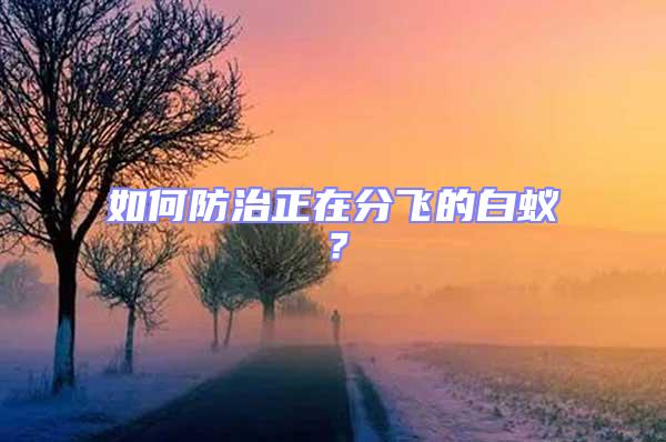 如何防治正在分飛的白蟻？