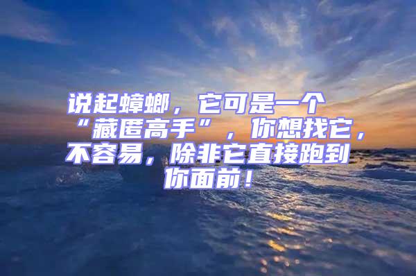 說起蟑螂，它可是一個(gè)“藏匿高手”，你想找它，不容易，除非它直接跑到你面前！