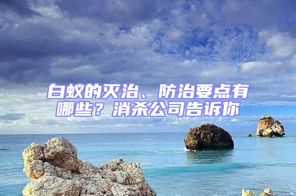 白蟻的滅治、防治要點(diǎn)有哪些？消殺公司告訴你