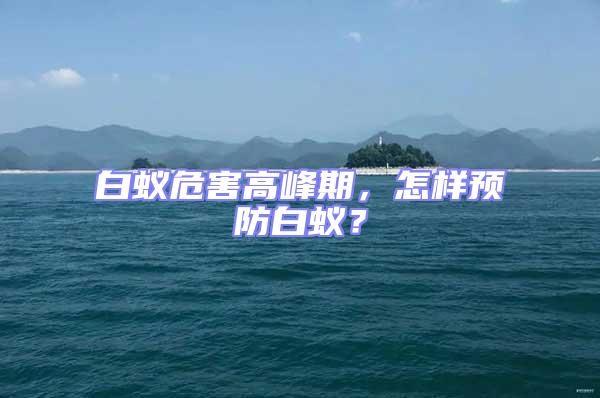 白蟻危害高峰期，怎樣預(yù)防白蟻？