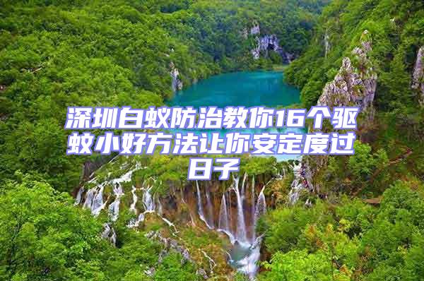 深圳白蟻防治教你16個驅蚊小好方法讓你安定度過日子