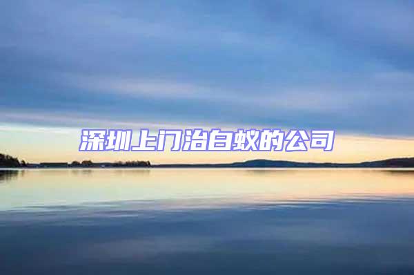 深圳上門治白蟻的公司