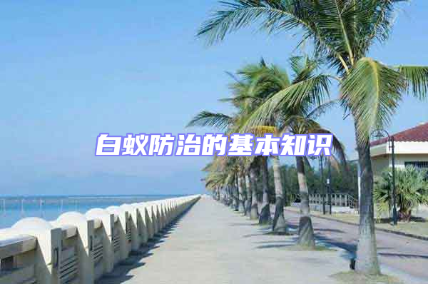 白蟻防治的基本知識