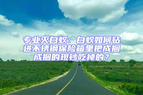 專業(yè)滅白蟻：白蟻如何鉆進不銹鋼保險箱里把成捆成捆的現(xiàn)鈔吃掉的？