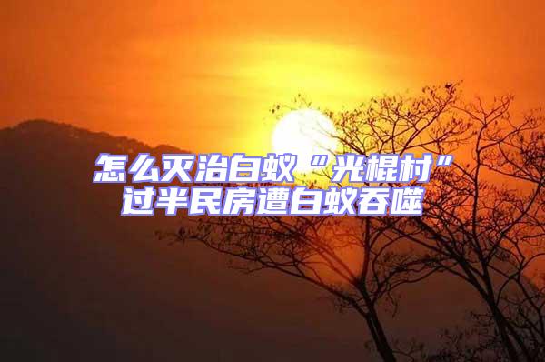 怎么滅治白蟻“光棍村”過半民房遭白蟻吞噬