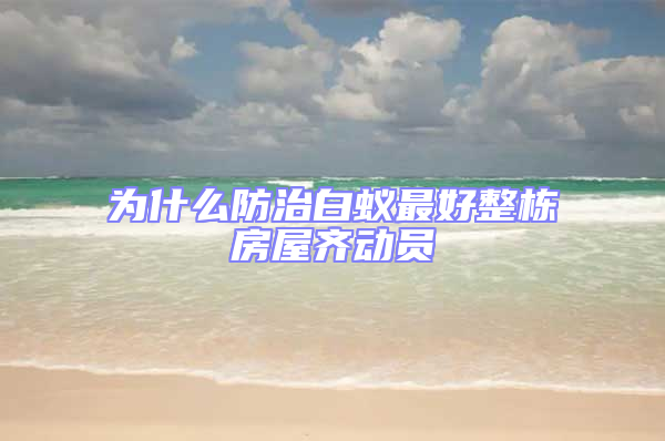 為什么防治白蟻最好整棟房屋齊動員