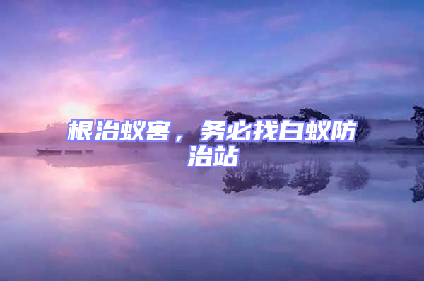 根治蟻害，務(wù)必找白蟻防治站