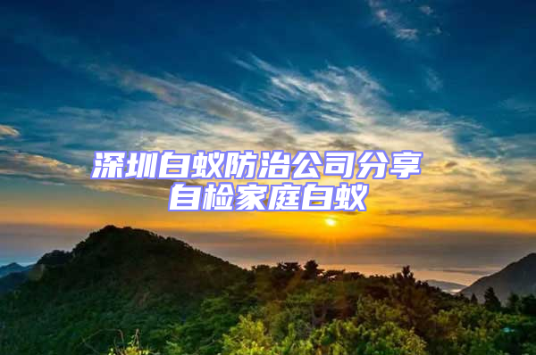 深圳白蟻防治公司分享 自檢家庭白蟻