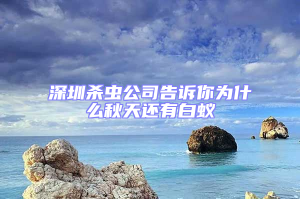 深圳殺蟲公司告訴你為什么秋天還有白蟻