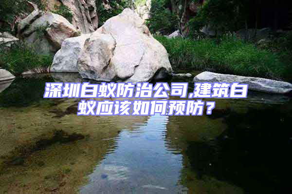 深圳白蟻防治公司,建筑白蟻應(yīng)該如何預(yù)防？